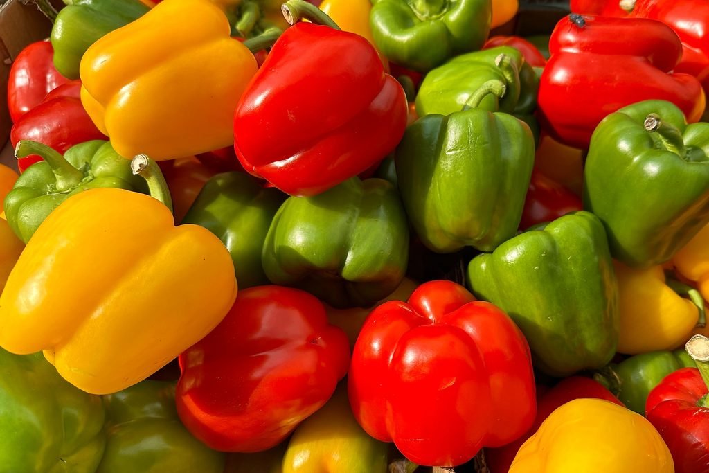 High-Protein Mediterranean Stuffed Peppers for Women Over 40